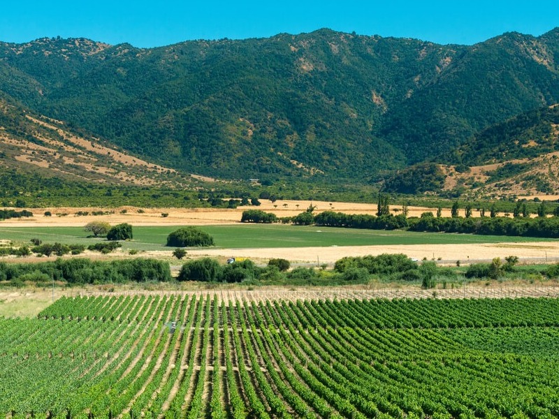 Se busca campo agrícola en la región de Valparaíso